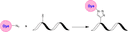Schematic illustrating the azide–alkyne cycloaddition (“click chemistry”) between an azide‐functionalized dye and an alkyne‐presenting biomolecule. In the presence of a copper catalyst (CuAAC) or under strain‐promoted conditions (SPAAC), the azide and alkyne react to form a stable 1,2,3‐triazole linkage. This highly selective and robust reaction proceeds under mild conditions and tolerates a wide range of functional groups.