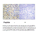 Product image for EGFR (Ab-678) Antibody