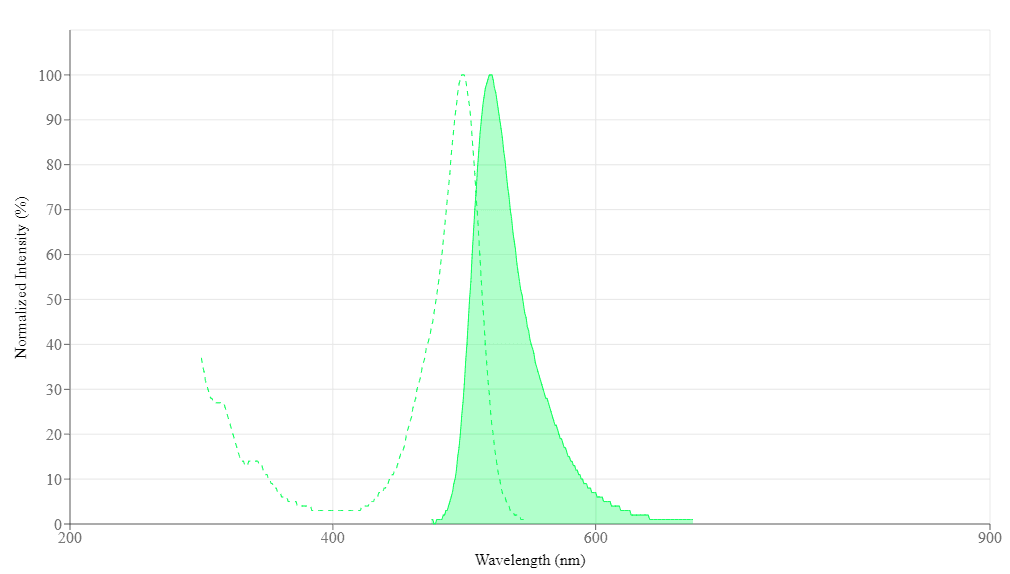 smykker Soaked Fundament XFD488 NHS Ester *Same Structure to Alexa Fluor™ 488 NHS Ester* | AAT  Bioquest