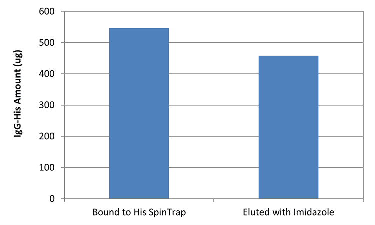 Purification test of 6xHis-tagged IgG with His SpinTrap™. IgG was labeled with 6xHis,SE and then loaded onto His SpinTrap™. The experiment showed that 547.6 μg of IgG-His could bind to His SpinTrap™, and 457.7 μg was recovered (84%) using 250 mM Imidazole Elution Buffer.
