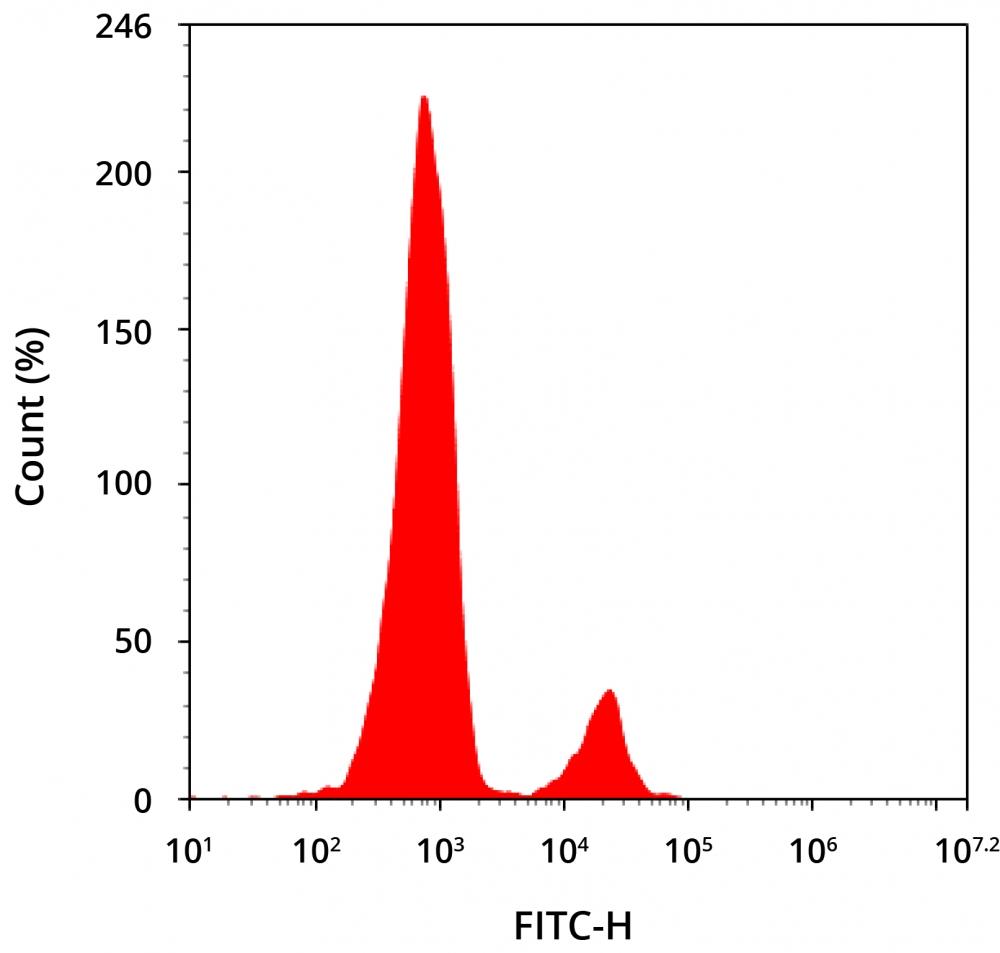 Detection of CD22 expression on human peripheral blood lymphocytes stained by flow cytometry. Human PBMCs were stained with iFluor®488 anti-human CD22 monoclonal antibody *HIB22* (Cat No. 10220050/10220051). The fluorescence signal was monitored using an ACEA NovoCyte flow cytometer in the FITC channel.