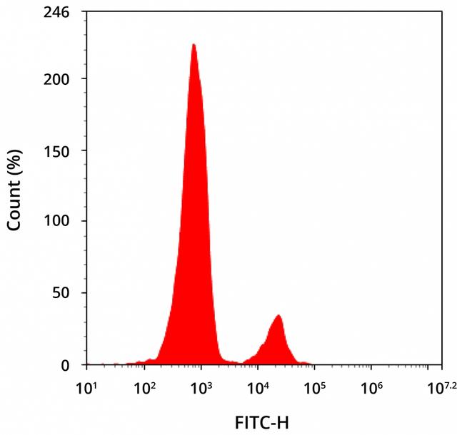 Detection of CD22 expression on human peripheral blood lymphocytes stained by flow cytometry. Human PBMCs were stained with iFluor®488 anti-human CD22 monoclonal antibody *HIB22* (Cat No. 10220050/10220051). The fluorescence signal was monitored using an ACEA NovoCyte flow cytometer in the FITC channel.