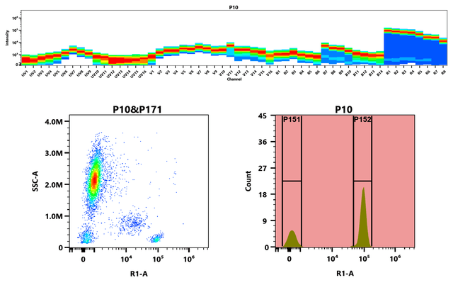 Top) The Spectral pattern was generated using a 4-laser spectral cytometer. Four spatially offset lasers (355 nm, 405 nm, 488 nm, and 640 nm) were used to create four distinct emission profiles, which, when combined, yielded the overall spectral signature. Bottom) Flow cytometry analysis of whole blood stained with iFluor® 633 anti-human CD4 *SK3* conjugate. The fluorescence signal was monitored using an Aurora spectral flow cytometer in the iFluor® 633 R1-A channel.