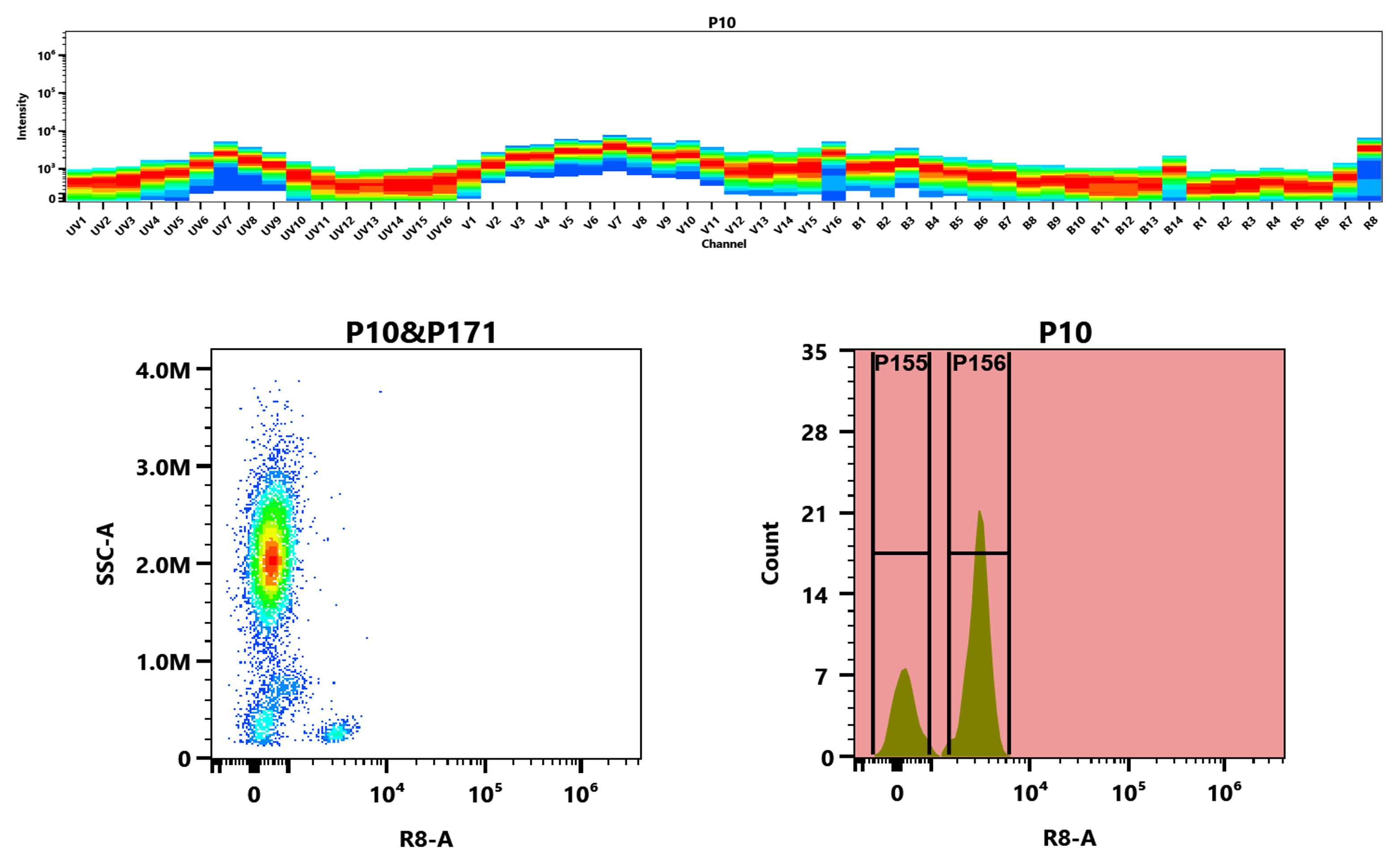 Top) The Spectral pattern was generated using a 4-laser spectral cytometer. Four spatially offset lasers (355 nm, 405 nm, 488 nm, and 640 nm) were used to create four distinct emission profiles, which, when combined, yielded the overall spectral signature. Bottom) Flow cytometry analysis of whole blood stained with iFluor® 800 anti-human CD4 *SK3* conjugate. The fluorescence signal was monitored using an Aurora spectral flow cytometer in the iFluor® 800 R8-A channel.
