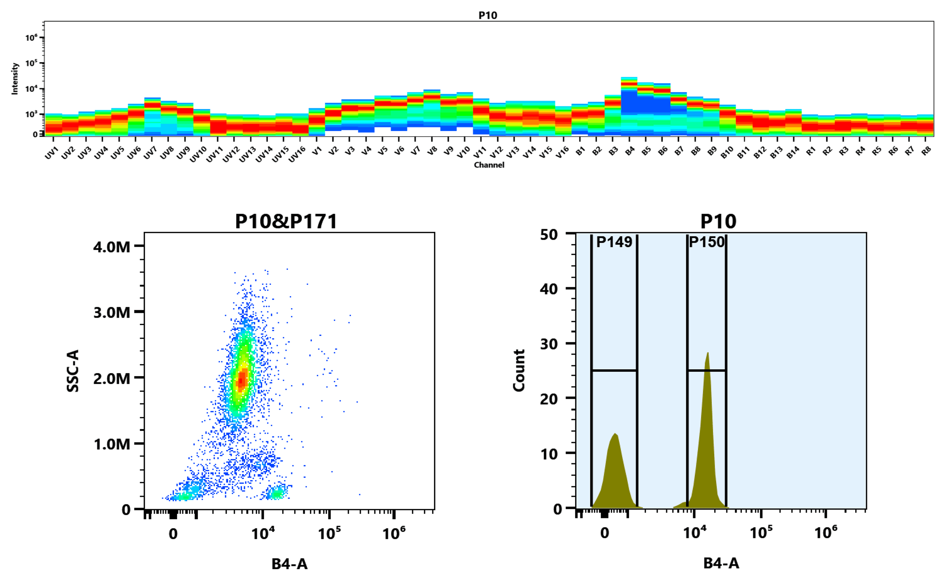 Top) The Spectral pattern was generated using a 4-laser spectral cytometer. Four spatially offset lasers (355 nm, 405 nm, 488 nm, and 640 nm) were used to create four distinct emission profiles, which, when combined, yielded the overall spectral signature. Bottom) Flow cytometry analysis of whole blood stained with mFluor™ Blue 570 anti-human CD4 *SK3* conjugate. The fluorescence signal was monitored using an Aurora spectral flow cytometer in the mFluor™ Blue 570 B4-A channel.
