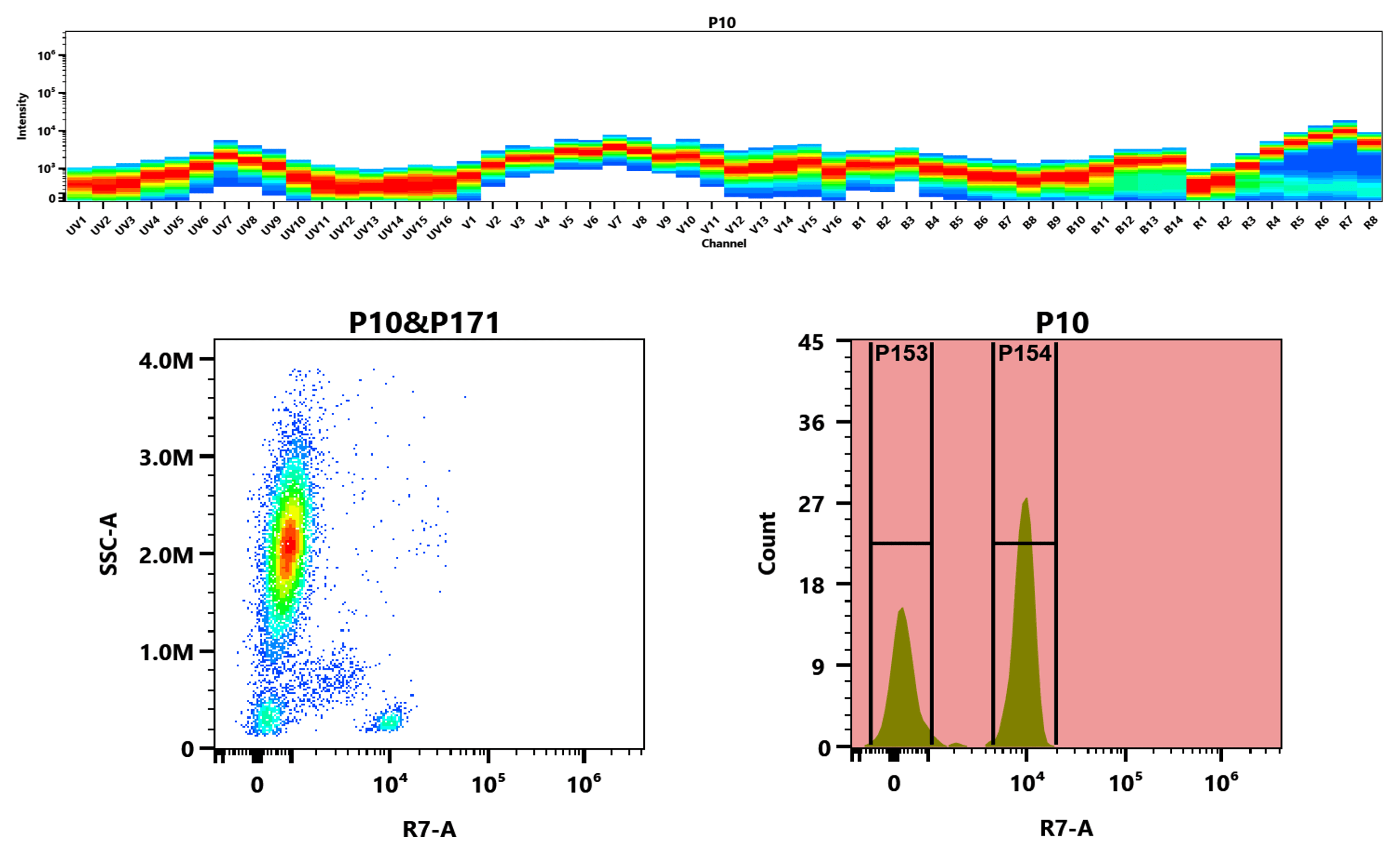 Top) The Spectral pattern was generated using a 4-laser spectral cytometer. Four spatially offset lasers (355 nm, 405 nm, 488 nm, and 640 nm) were used to create four distinct emission profiles, which, when combined, yielded the overall spectral signature. Bottom) Flow cytometry analysis of whole blood stained with mFluor™ Red 780 anti-human CD4 *SK3* conjugate. The fluorescence signal was monitored using an Aurora spectral flow cytometer in the mFluor™ Red 780 R7-A channel.