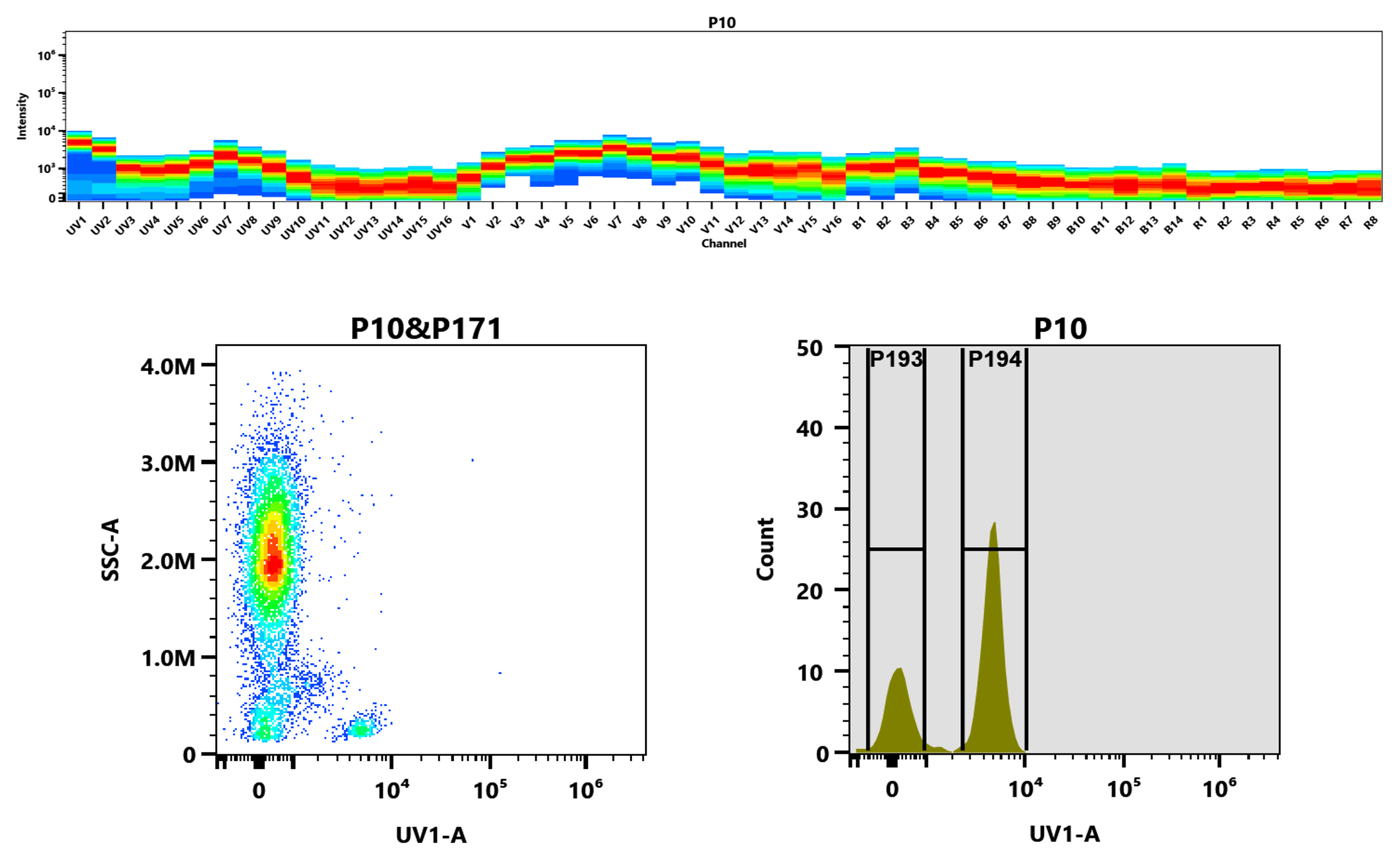 Top) The Spectral pattern was generated using a 4-laser spectral cytometer. Four spatially offset lasers (355 nm, 405 nm, 488 nm, and 640 nm) were used to create four distinct emission profiles, which, when combined, yielded the overall spectral signature. Bottom) Flow cytometry analysis of whole blood stained with mFluor™ UV375 anti-human CD4 *SK3* conjugate. The fluorescence signal was monitored using an Aurora spectral flow cytometer in the mFluor™ UV375 UV1-A channel.