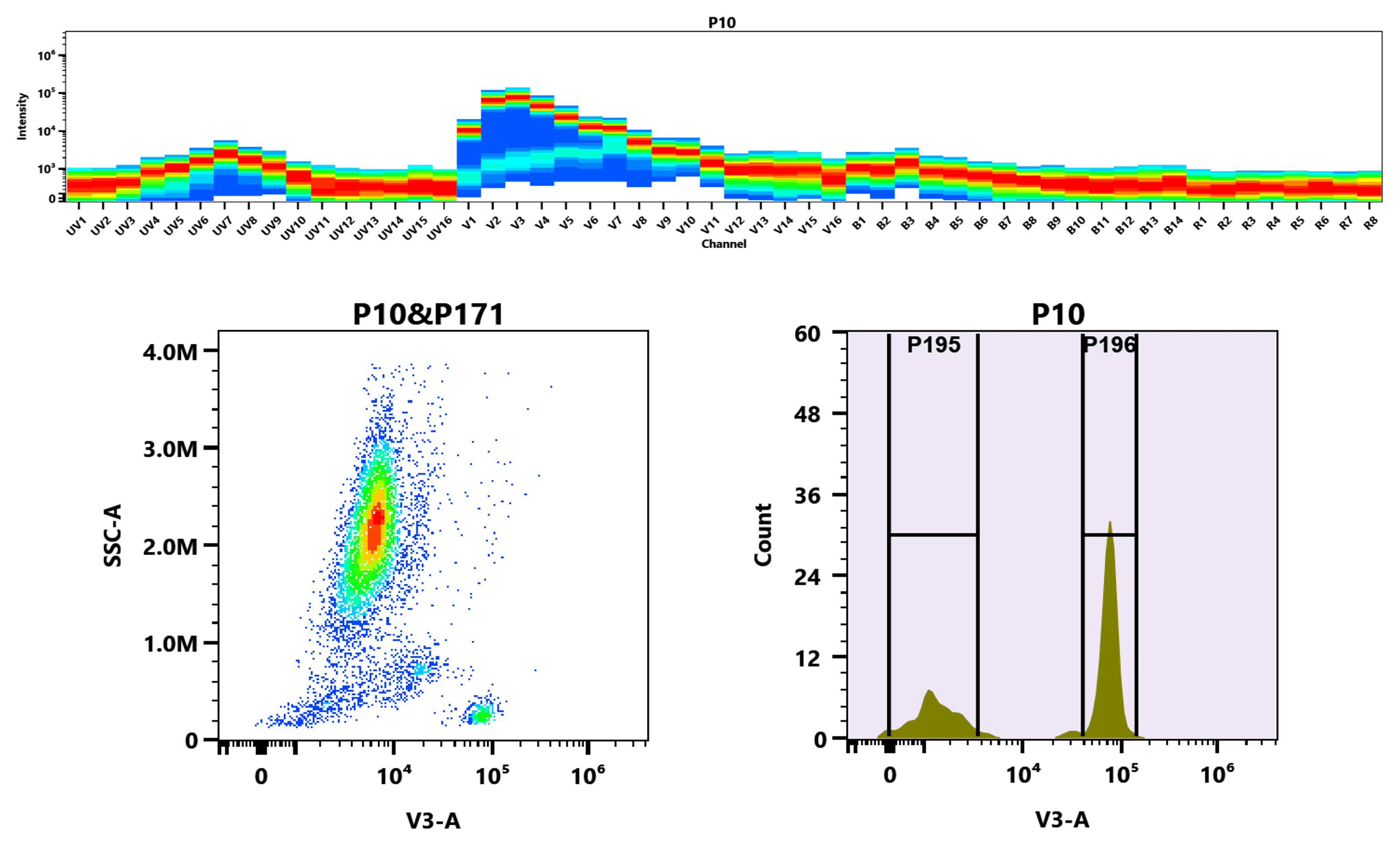 Top) The Spectral pattern was generated using a 4-laser spectral cytometer. Four spatially offset lasers (355 nm, 405 nm, 488 nm, and 640 nm) were used to create four distinct emission profiles, which, when combined, yielded the overall spectral signature. Bottom) Flow cytometry analysis of whole blood stained with mFluor™ Violet 450 anti-human CD4 *SK3* conjugate. The fluorescence signal was monitored using an Aurora spectral flow cytometer in the mFluor™ Violet 450 V3-A channel.