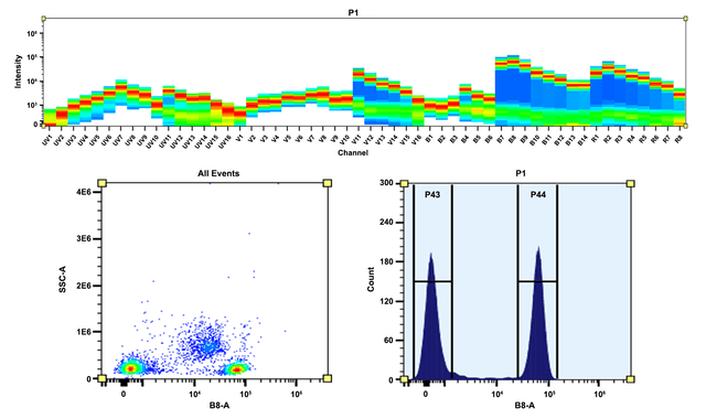 Top) Spectral pattern was generated using a 4-laser spectral cytometer. Spatially offset lasers (355 nm, 405 nm, 488 nm, and 640 nm) were used to create four distinct emission profiles, then, when combined, yielded the overall spectral signature. Bottom) Flow cytometry analysis of PBMC stained with PE/Cy5 anti-human CD4 *SK3* conjugate. The fluorescence signal was monitored using an Aurora spectral flow cytometer in the PE/Cy5 specific B8-A channel.