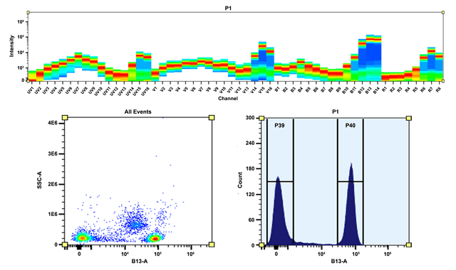 Top) Spectral pattern was generated using a 4-laser spectral cytometer. Spatially offset lasers (355 nm, 405 nm, 488 nm, and 640 nm) were used to create four distinct emission profiles, then, when combined, yielded the overall spectral signature. Bottom) Flow cytometry analysis of PBMC stained with PE/Cy7 anti-human CD4 *SK3* conjugate. The fluorescence signal was monitored using an Aurora spectral flow cytometer in the PE/Cy7 specific B13-A channel.