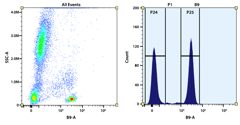 Flow cytometry analysis of whole blood cells stained with PerCP/Cy5.5 anti-human CD4 antibody (Clone: SK3). The fluorescence signal was monitored using an Aurora spectral flow cytometer in the PerCP/Cy5.5 specific B9-A channel.