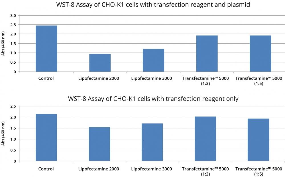 Cell viability comparison in CHO-K1 cells. One group of CHO K1 cells were transfected with GFP plasmid using Lipofectamine 2000, Lipofectamine 3000 and Transfectamine&trade; 5000, the second group of CHO K1 cells were treated with same amount of transfection reagent&nbsp;as the first group but without plasmid. After 48 hours, cell viability of&nbsp;each group was measured with Cell Meter&trade; Colorimetric WST-8 Cell Quantification Kit (Cat. 22770). The higher absorbance at 460nm represents more viable cells.