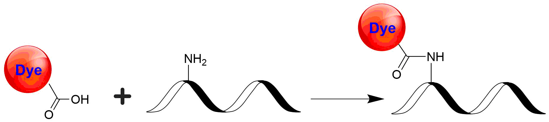 XFD750 acid is the same molecule to the Alexa Fluor® 750 acid. It has the identical spectra to Cy7 dye. XFD750 acid is the most economic amine-reactive form for conjugating this dye to a peptide.