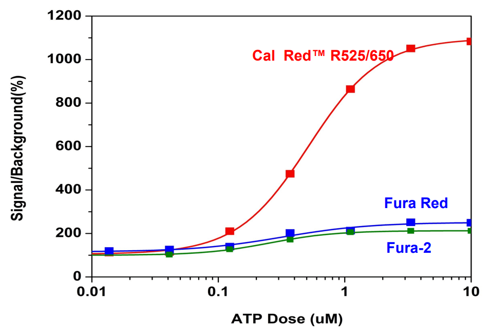 ATP-stimulated calcium response