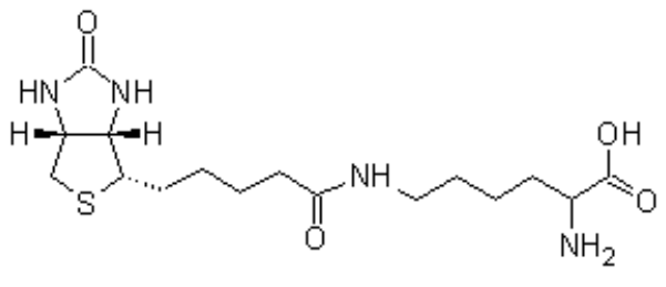 Biotinoyl-L-lysine