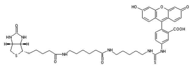 Fluorescein biotin