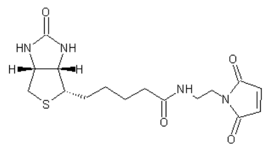 Biotin C2 maleimide