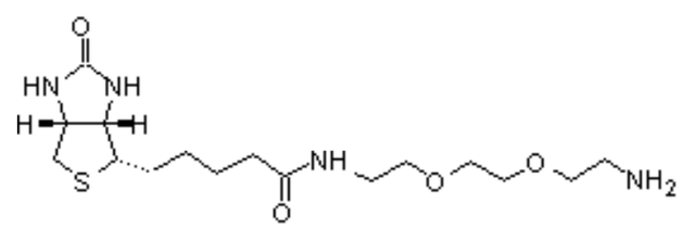 Biotin PEG2 amine