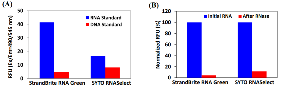 Comparison of StrandBrite RNA Green and SYTO RNASelect