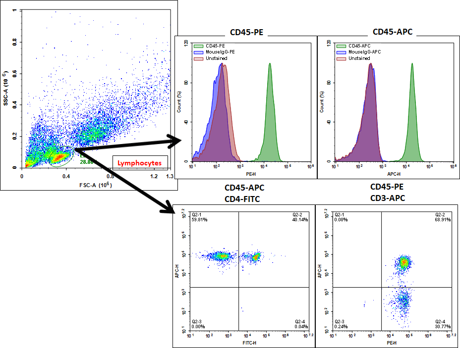 Flow cytometry analysis of PBMCs