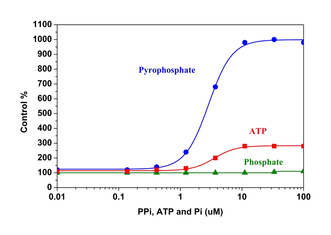 Pyrophosphate and phosphate dose response