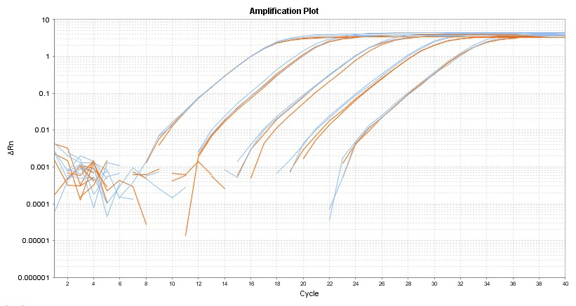 Amplification plot for a dilution series of HeLa cell cDNA amplified in replicate reactions to detect GAPDH using TAQuest™ qPCR Master Mix with Helixyte™ Green and ROX (Blue) or ROXtra™ reference solutions (Orange).