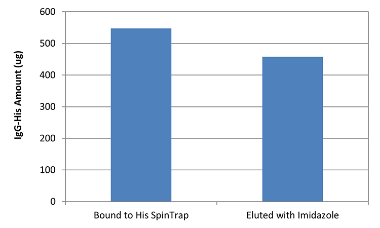 Purification test of 6xHis-tagged IgG with His SpinTrap™. IgG was labeled with 6xHis,SE and then loaded onto His SpinTrap™. The experiment showed that 547.6 μg of IgG-His could bind to His SpinTrap™, and 457.7 μg was recovered (84%) using 250 mM Imidazole Elution Buffer.