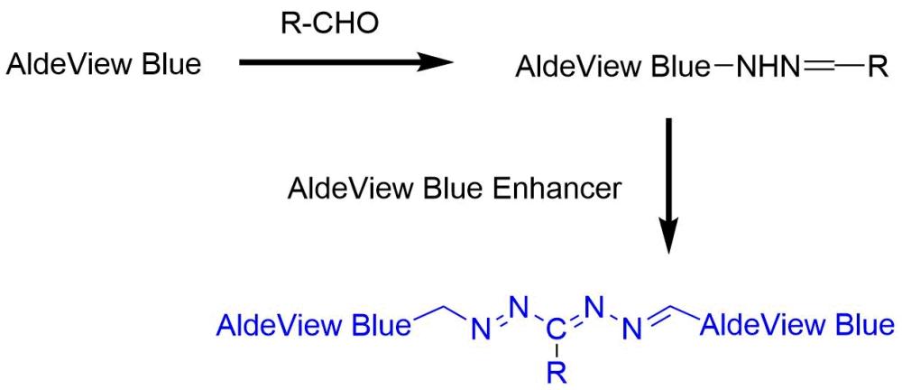 AldeView Blue (Component A) readily reacts with aldehydes to give AldeView Blue hydrazone which is dimerized in the presence of AldeView Blue enhancer (Component C). The dimer of AldeView Blue has strong absorption from 600 to 650 nm depending on the structures of aldehydes. The absorption of AldeView Blue dimer formed is proportional to the concentration of the aldehyde tested.