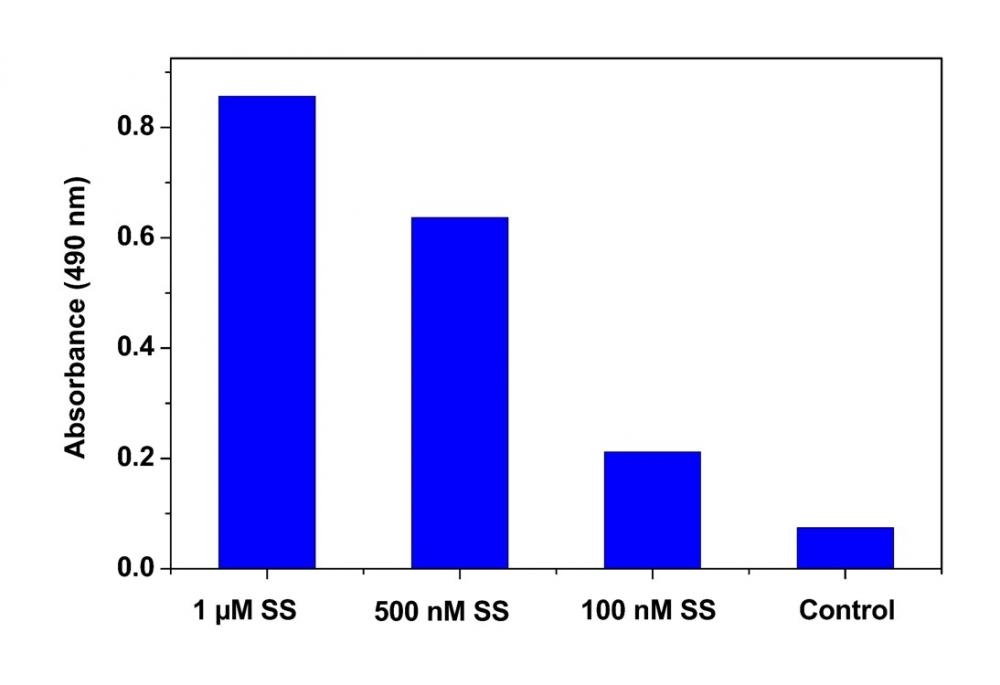 <p>Detection of caspase 3/7 Activity in Jurkat cells. The cells were treated with staurosporine (SS) at the concentration of 0-1 µM for 4 hours at 37ºC. After treatment, cells were incubated with caspase 3/7 assay solution for 2 hours. The absorbance was measured at 490 nm using a SpectraMax reader (Molecular Devices).</p>
