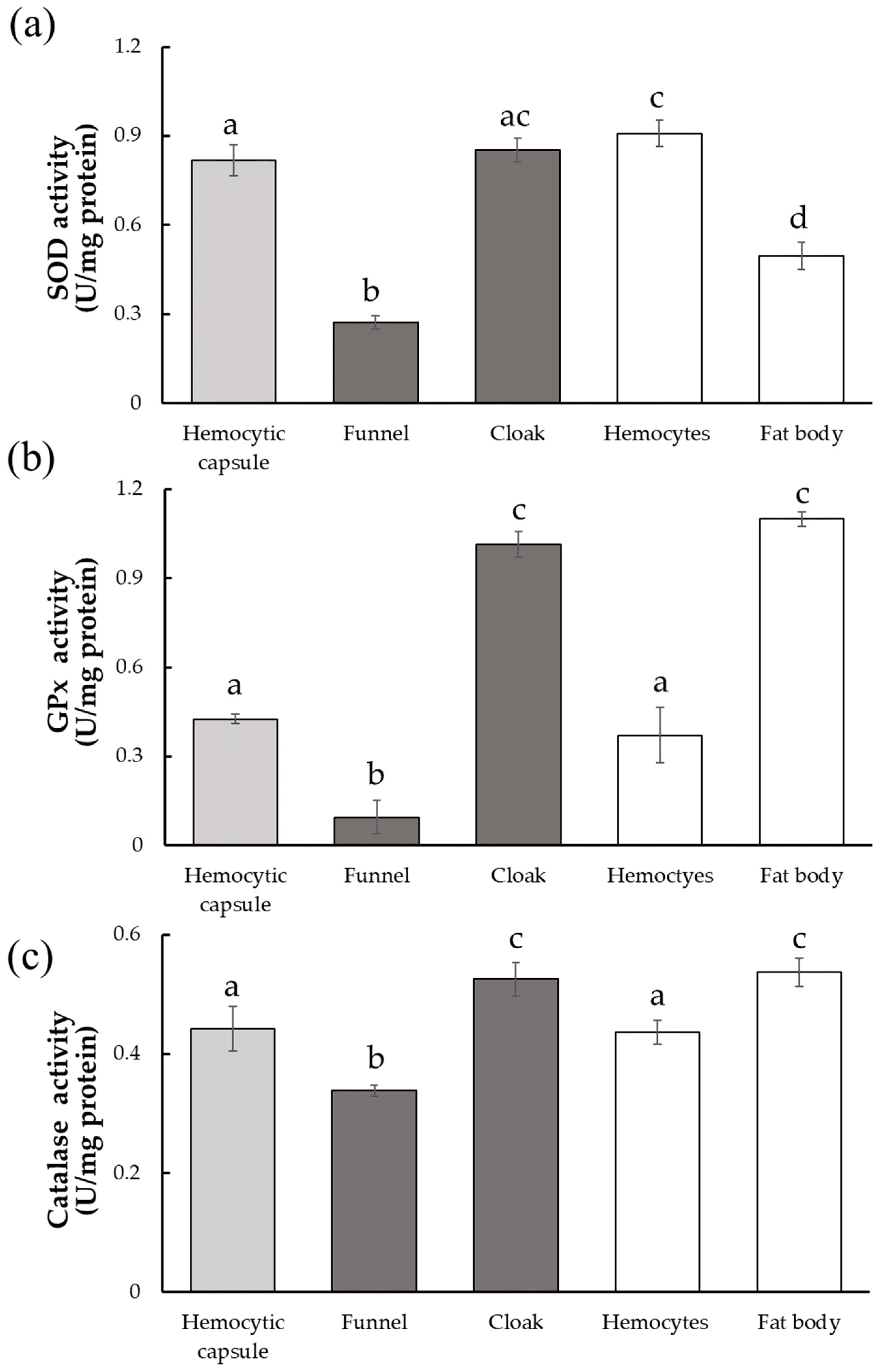 Activities of three antioxidant enzymes in host-derived structures surrounding developing Drino inconspicuoides larva. (a) Superoxidase dismutase (SOD) activity; (b) Glutathione peroxidase (GPx) activity; (c) Catalase activity. Each value is expressed as the mean ± standard deviation of samples (n = 5). Different letters above each bar denote significant differences (p < 0.01). GPx activity was detected using the Amplite Fluorimetric Glutathione Peroxidase Assay Kit (AAT Bioquest, CA, USA). Source: <b>Cloak Scavenges the Reactive Oxygen Species around the Larvae of Drino inconspicuoides (Diptera: Tachinidae)</b> by Zhang K, Nakamura S, Furukawa S. <em>Insects</em>. July 2023.