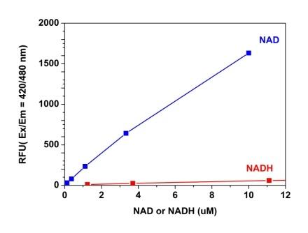 Comparison of NAD and NADH response