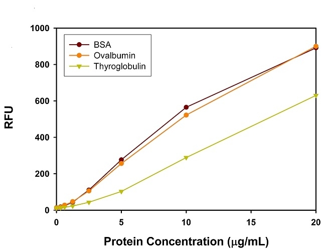 <p>BSA, chicken-egg ovalbumin, porcine thyroglobulin dose response was measured at Ex/Em 485/590 in a 96-well black plate with the Amplite® Fluoremetric Protein Quantitation Kit. As low as 0.1 ug/mL of BSA can be detected.</p>