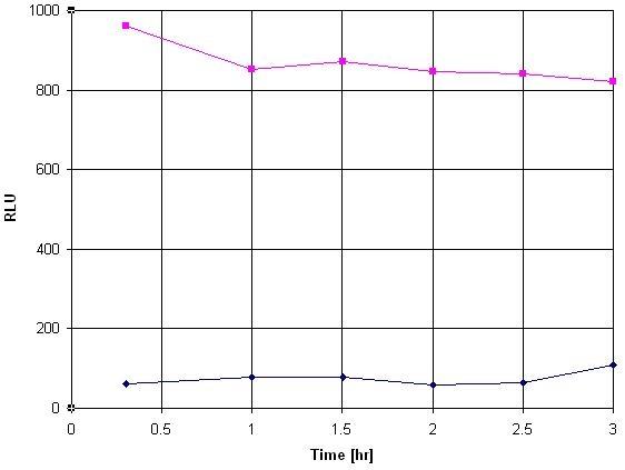 Reaction Kinetics of CHO-V<sub>2</sub>R-Luc cells using Amplite® Luciferase Reporter Gene Assay Kit. CHO cells stably transfected with pCRE-luciferase gene and human Vasopressin receptor 2 (V<sub>2</sub>R) were plated into a 384-well white wall/clear bottom costar plate at 15,000 cells/well/25 &micro;L. Cells then were treated with 100 nM of vasopressin in a 5% CO<sub>2</sub> incubator at 37 &deg;C for 4 hours. 25 &micro;L of luciferase assay solution was added into the well. The kinetic data was taken every 30 minutes for up to 3 hours with a NOVOstar plate reader (BMG Labtech). The vasopressin induced luciferase signal is stable for more than 3 hours.
