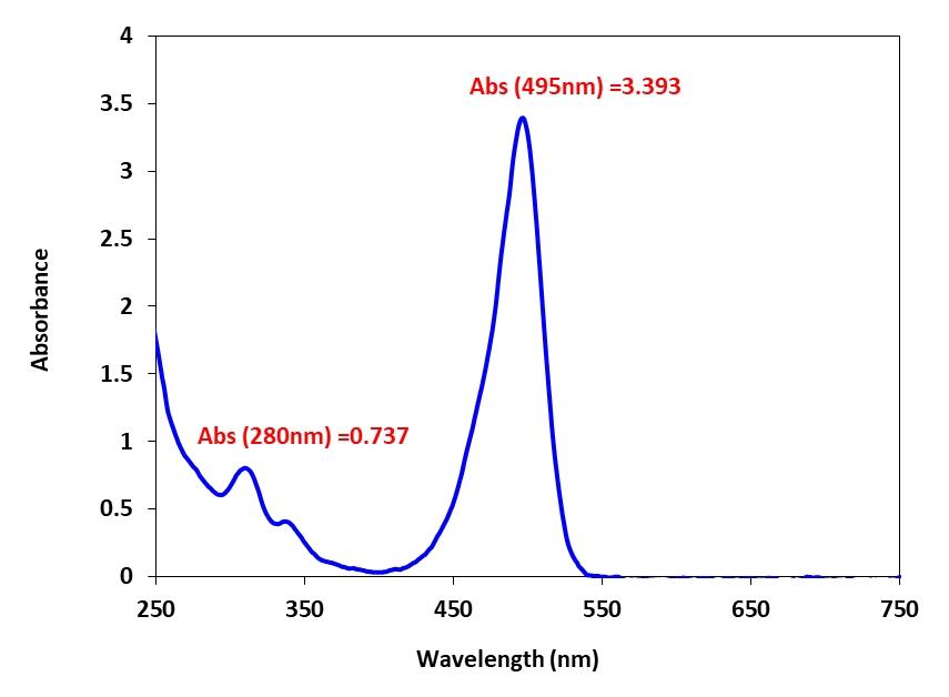 Aldehyde quantitation of BSA-Acrolein Conjugate with Amplite® Rapid Colorimetric Protein Aldehyde Content Quantitation Kit. Absorbance spctrum was measured with NanoDrop Spectrometer.<br />Aldehyde/BSA =&nbsp; ((A495/ 75000) / [(A280 &ndash; 0.117 &times; A495)/ 43824] = 5.8