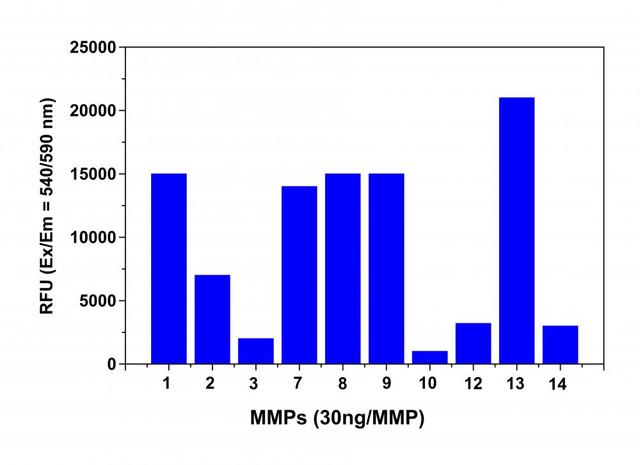 Detection of MMPs activity using Amplite® Universal Fluorimetric MMP Activity Assay Kit. The fluorescence signal was monitored one hour after the start of the reaction. The reading from all wells was subtracted with the reading from substrate control, which contains MMP Red&trade; substrate but no MMPs. The MMP Red&trade; substrate can detect the activity of sub-nanogram of all MMPs (n=3).