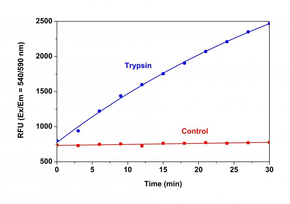 Trypsin protease activity was analyzed by using Amplite® Universal Fluorimetric Protease Activity Assay Kit. Protease substrate was incubated with 3 units of trypsin. The control wells had protease substrate only (without trypsin). The fluorescence signal was measured starting from time 0 when trypsin was added. Samples were done in triplicate.