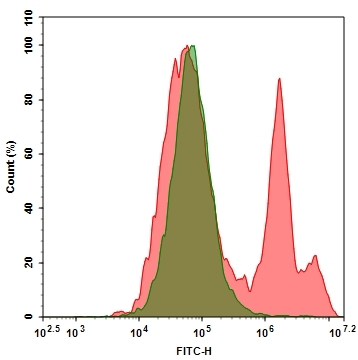 <strong>Annexin V binding assay for identifying apoptosis cells. </strong> Jurkat cells were treated without (Green) or with 1uM staurosporine (Red)at 37 °C for 4-5 hours. Cells were then incubated with Annexin V-Biotin (Cat#20018), followed by incubation with streptavidin-iFluor® 488 (Cat#16955). The fluorescence signal was monitored using ACEA NovoCyte flow cytometer FITC channel.