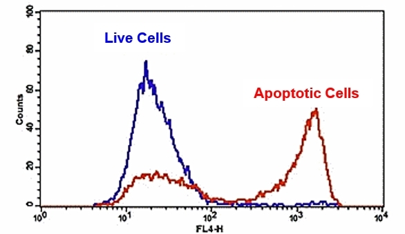 The binding activity of Annexin V-Cy5 conjugate to phosphatidylserine (PS) residues in Jurkat cells. Jurkat cells were treated without (Blue) or with 1 μM staurosporine (Red) for 4-5 hours in a 37°C, 5% CO2 incubator, and then dye-loaded for 30 minutes. The fluorescence intensity of Annexin V-Cy5 was measured with a FACSCalibur (Becton Dickinson, San Jose, CA) flow cytometer using the FL4 channel.