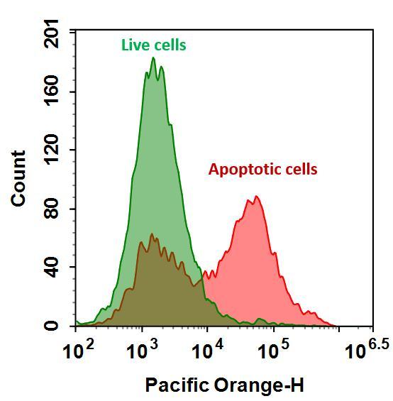 The detection of binding activity of Annexin V-mFluor™ Violet 540 conjugate to phosphatidylserine in Jurkat cells. Jurkat cells were treated without (Green) or with 1 μM staurosporine (Red) at 37 °C for 4 hours and then labeled with Annexin V-mFluor™ Violet 540 conjugate for 30 minutes. Fluorescence intensity was measured using an ACEA NovoCyte flow cytometer in the Pacific Orange channel.