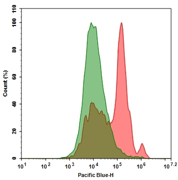 Annexin V binding assay for identifying apoptosis cells. Jurkat cells were treated without (Green) or with 1uM staurosporine (Red) at 37 °C for 4-5 hours. Cells were then incubated with Annexin V PacBlue conjugate (Cat#20089) for 30min. The fluorescence signal was monitored using ACEA NovoCyte flow cytometer Pacific Blue channel.