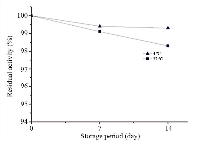 Thermal stability of anti-c-AST monoclonal antibodies: anti-c-AST monoclonal antibodies were stored at 4&deg;C and 37&deg;C for&nbsp;14 days.