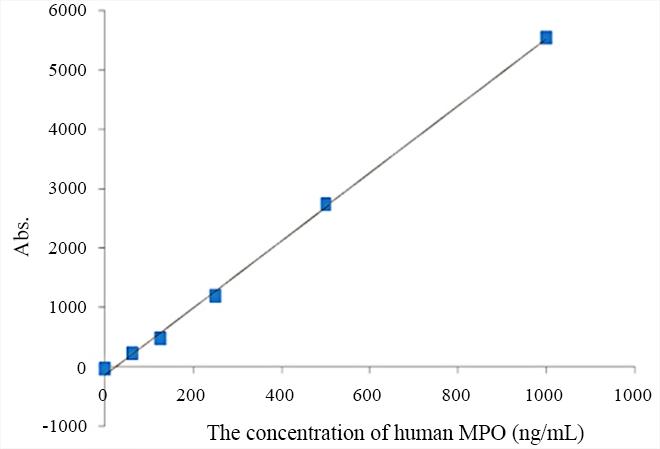Calibration curve for MPO in latex enhanced turbidimetric immunoassay (LETIA): human MPO proteins were reacted with anti-human MPO antibodies coated onto latex microspheres, resulting in agglutination and an increase in turbidity. Changes in absorbance were monitored using a spectrometer to quantitatively measure the MPO concentration in the samples.