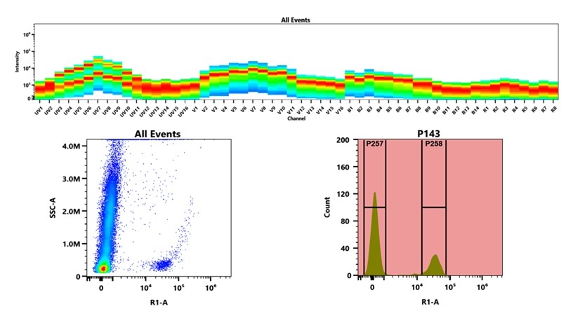 (Top) Spectral emission profiles generated using four spatially offset lasers (355 nm, 405 nm, 488 nm, and 640 nm). Each laser produced a distinct emission pattern, and their combination yielded the composite spectral signature. (Bottom) Flow cytometry analysis of whole blood stained with APC Anti-human CD19 Antibody (HIB19). The fluorescence signal was monitored using an Cytek Aurora flow cytometer in the specific R1-A channel.