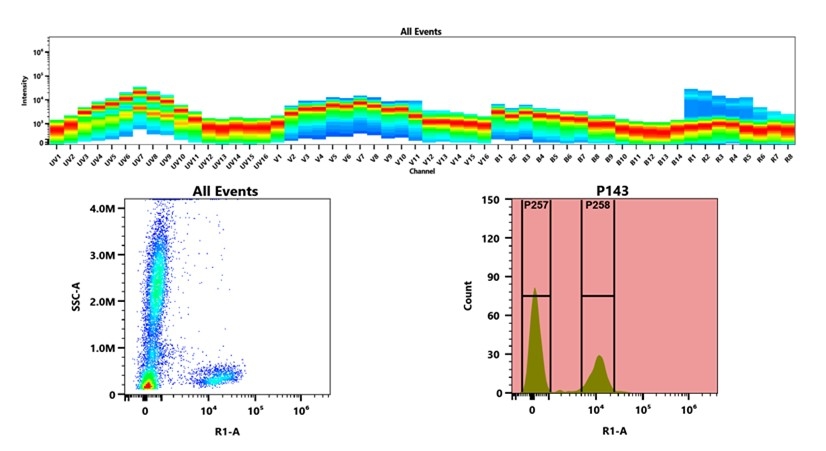 Spectral emission profiles generated using four spatially offset lasers (355 nm, 405 nm, 488 nm, and 640 nm). Each laser produced a distinct emission pattern, and their combination yielded the composite spectral signature. (Bottom) Flow cytometry analysis of whole blood stained with APC Anti-human CD2 Antibody *HIT11*. The fluorescence signal was monitored using an Cytek Aurora flow cytometer in the specific R1-A channel.