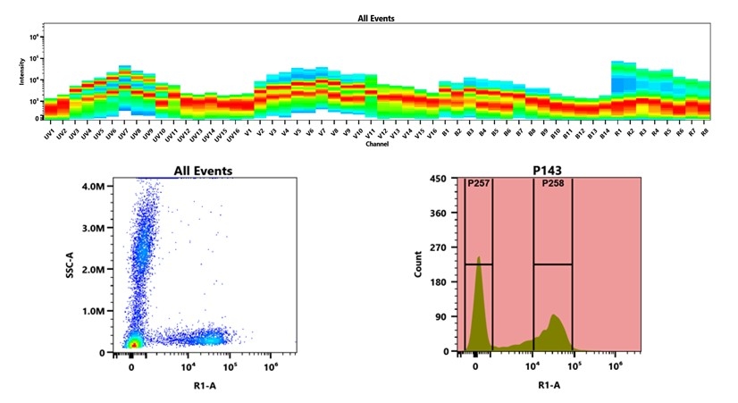 (Top) Spectral emission profiles generated using four spatially offset lasers (355 nm, 405 nm, 488 nm, and 640 nm). Each laser produced a distinct emission pattern, and their combination yielded the composite spectral signature. (Bottom) Flow cytometry analysis of whole blood stained with APC Anti-human CD7 Antibody *HIT7*. The fluorescence signal was monitored using an Cytek Aurora flow cytometer in the specific R1-A channel.