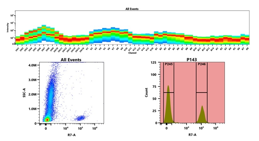 (Top) Spectral emission profiles generated using four spatially offset lasers (355 nm, 405 nm, 488 nm, and 640 nm). Each laser produced a distinct emission pattern, and their combination yielded the composite spectral signature. (Bottom) Flow cytometry analysis of whole blood stained with APC/Cy7 Anti-human CD19 Antibody (HIB19). The fluorescence signal was monitored using an Cytek Aurora flow cytometer in the specific R7-A channel.