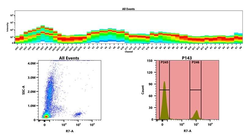 (Top) Spectral emission profiles generated using four spatially offset lasers (355 nm, 405 nm, 488 nm, and 640 nm). Each laser produced a distinct emission pattern, and their combination yielded the composite spectral signature. (Bottom) Flow cytometry analysis of whole blood stained with APC/Cy7 Anti-human CD19 Antibody (SJ25C1). The fluorescence signal was monitored using an Cytek Aurora flow cytometer in the specific R7-A channel.