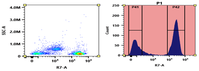 Flow cytometry analysis of PBMC stained with APC-Cy7 anti-human CD3 *UCHT1* conjugate. The fluorescence signal was monitored using an Aurora spectral flow cytometer in the APC-Cy7 specific R7-A channel.