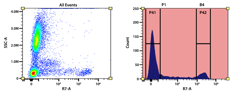 Flow cytometry analysis of whole blood cells stained with APC/Cy7 anti-human CD8 antibody (Clone: SK1). The fluorescence signal was monitored using an Aurora spectral flow cytometer in the APC/Cy7 specific R7-A channel.