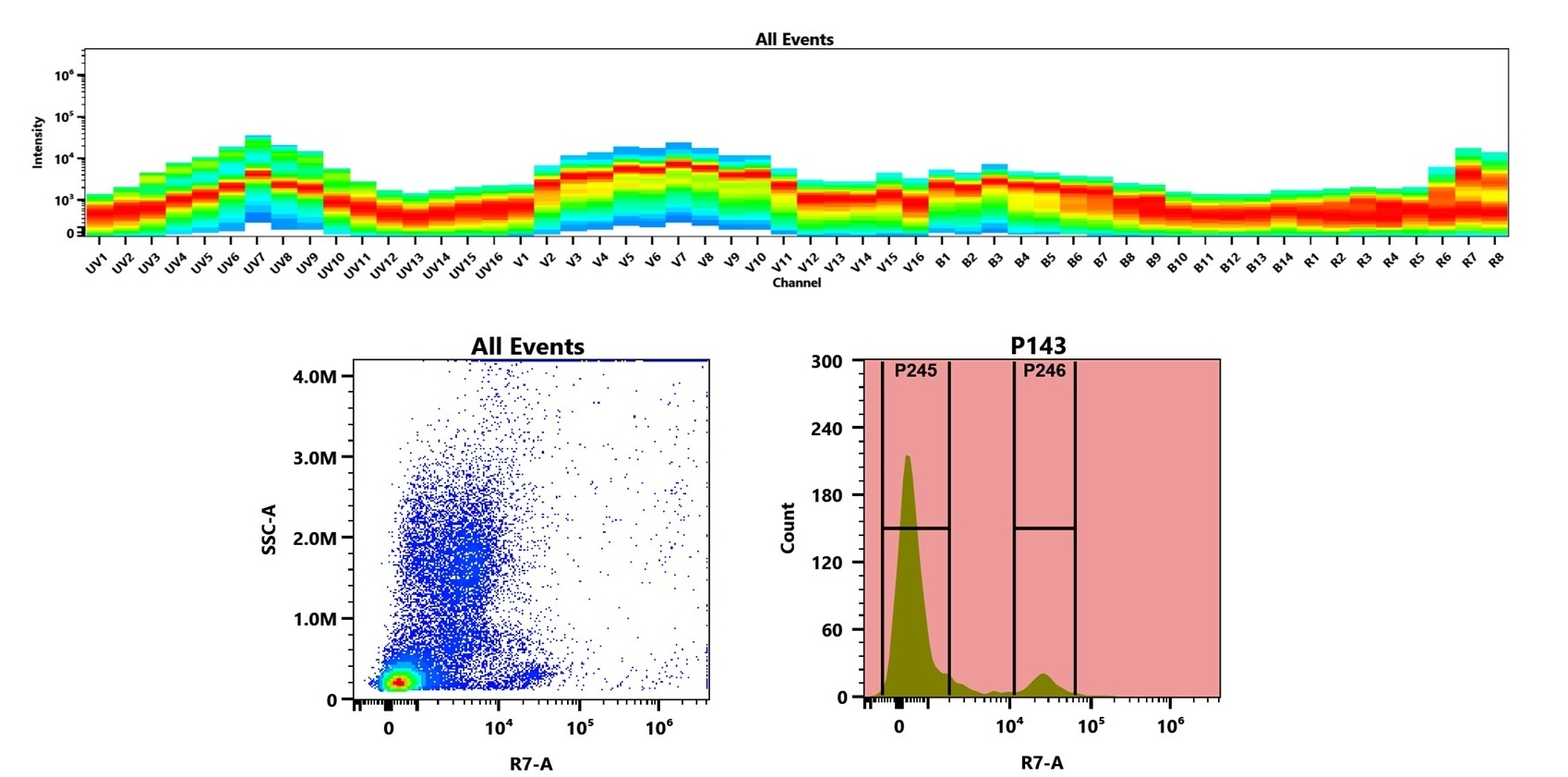 (Top) Spectral emission profiles generated using four spatially offset lasers (355 nm, 405 nm, 488 nm, and 640 nm). Each laser produced a distinct emission pattern, and their combination yielded the composite spectral signature. (Bottom) Flow cytometry analysis of human whole blood stained with APC/Cy7 Anti-human/monkey CD20 Antibody (2H7) (Cat. #102021C0). The fluorescence signal was monitored on a Cytek Aurora spectral flow cytometer in the R7-A channel, demonstrating clear detection of CD20⁺ cells.